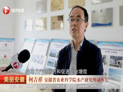 《安徽经视》：安徽省农科院水产所：推进科技成果转化 助力乡村振兴